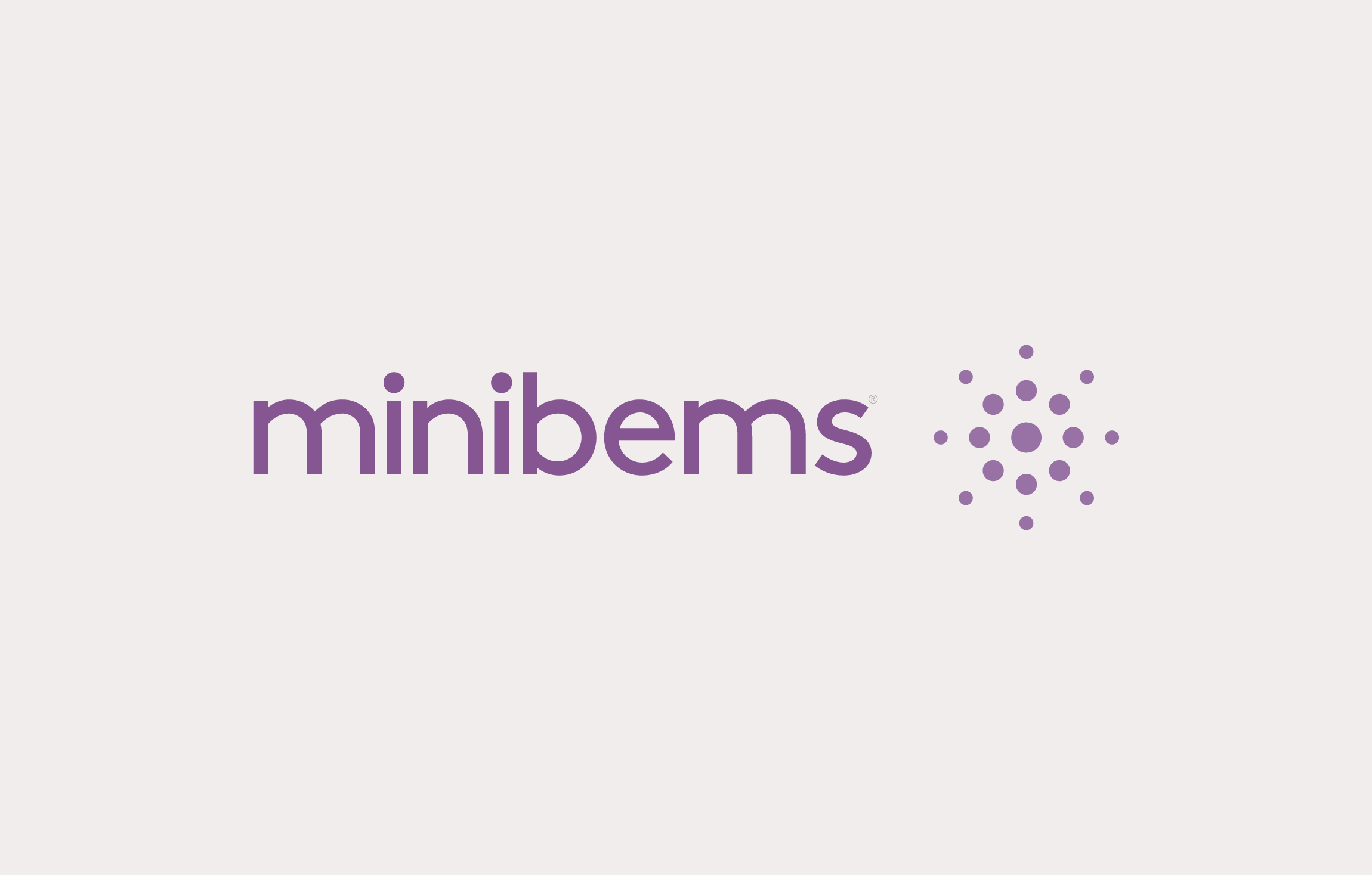 Minibems